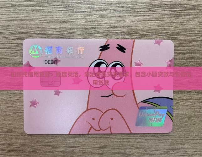 山东纯信用贷款：额度灵活，满足各类贷款需求，包含小额贷款与农信信用贷款