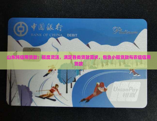 山东纯信用贷款：额度灵活，满足各类贷款需求，包含小额贷款与农信信用贷款