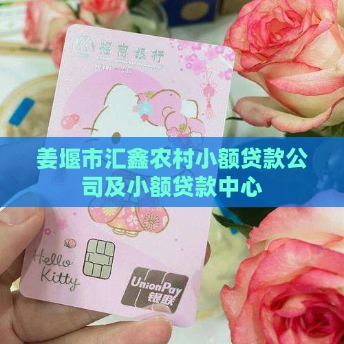 姜堰市汇鑫农村小额贷款公司及小额贷款中心