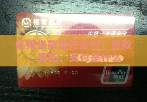 信用贷款受托支付：贷款、受托、支付是什么