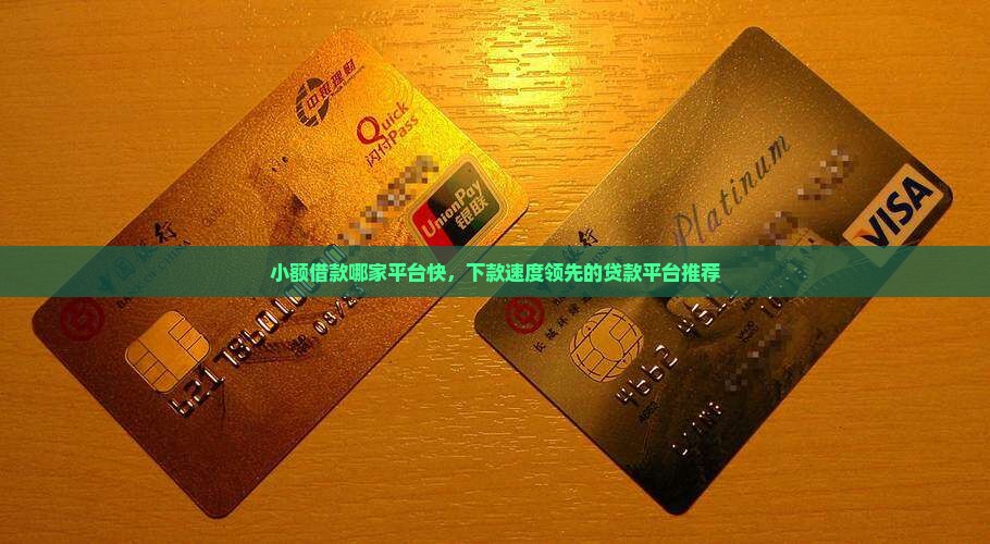 小额借款哪家平台快，下款速度领先的贷款平台推荐