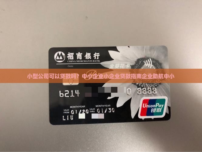 小型公司可以贷款吗？中小企业小企业贷款指南企业助航中小