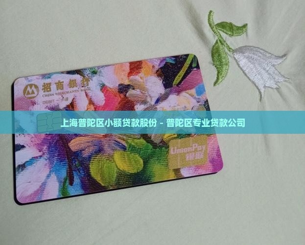 上海普陀区小额贷款股份 - 普陀区专业贷款公司