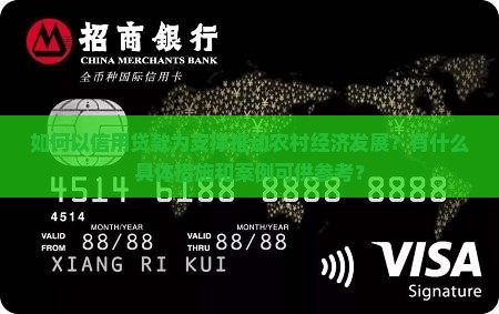 如何以信用贷款为支撑推动农村经济发展？有什么具体措施和案例可供参考？