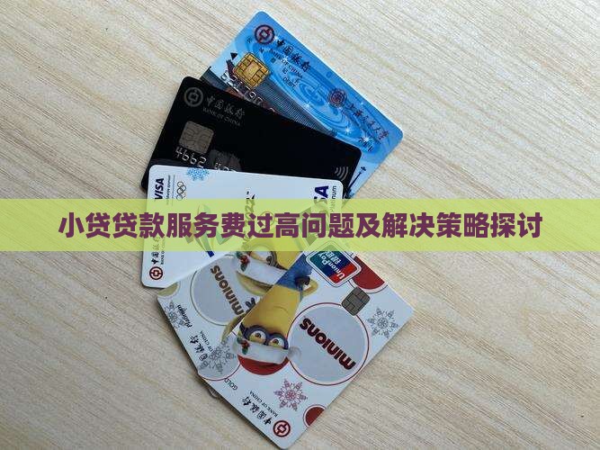 小贷贷款服务费过高问题及解决策略探讨