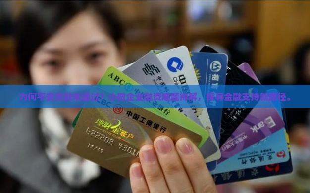 为何平安贷款未通过？小微企业融资难题待解，探寻金融支持新路径。