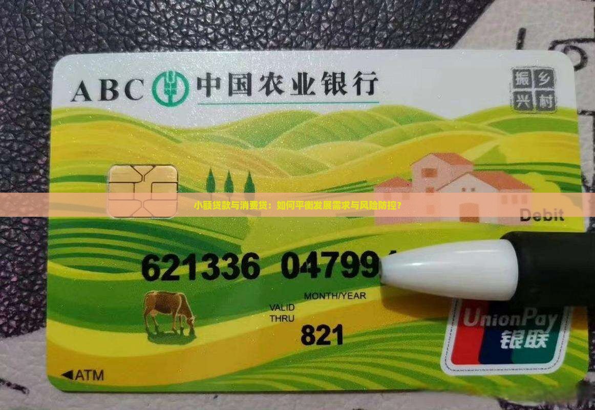 小额贷款与消费贷：如何平衡发展需求与风险防控？