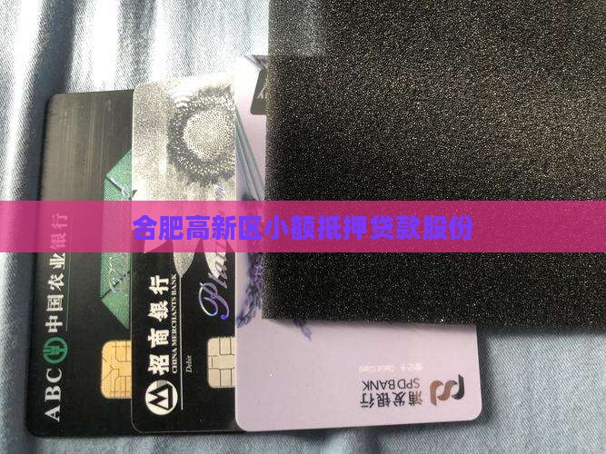 合肥高新区小额抵押贷款股份