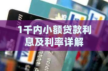 1千内小额贷款利息及利率详解