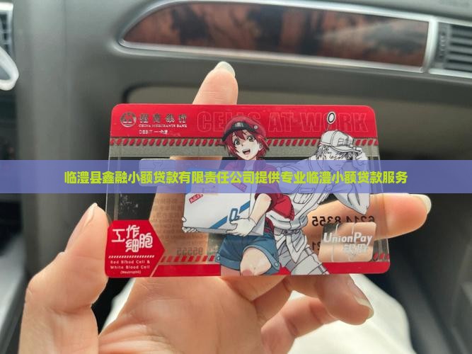 临澧县鑫融小额贷款有限责任公司提供专业临澧小额贷款服务