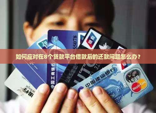 如何应对在8个贷款平台借款后的还款问题怎么办？