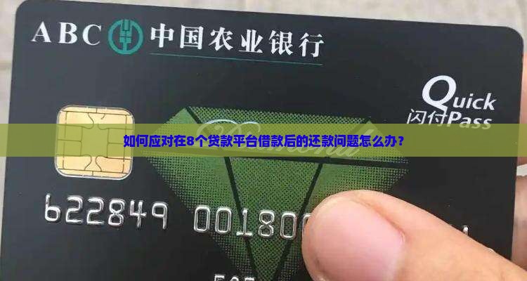如何应对在8个贷款平台借款后的还款问题怎么办？