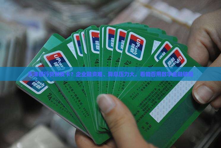 天津银行贷款发卡？企业融资难、降息压力大，看能否用数字金融破局