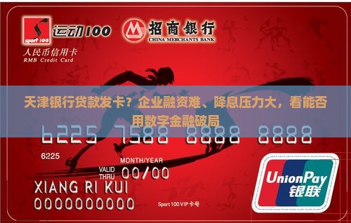 天津银行贷款发卡？企业融资难、降息压力大，看能否用数字金融破局