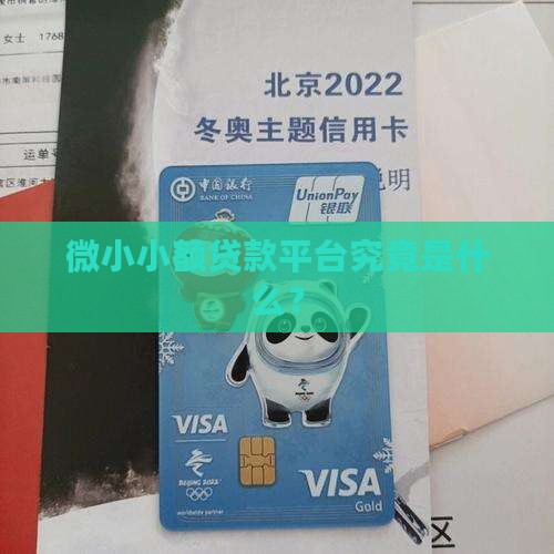 微小小额贷款平台究竟是什么？