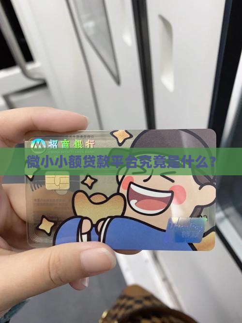微小小额贷款平台究竟是什么？