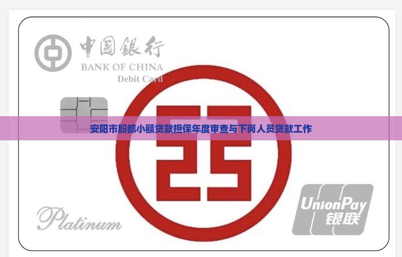 安阳市殷都小额贷款担保年度审查与下岗人员贷款工作
