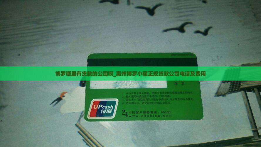 博罗哪里有贷款的公司啊_惠州博罗小额正规贷款公司电话及费用