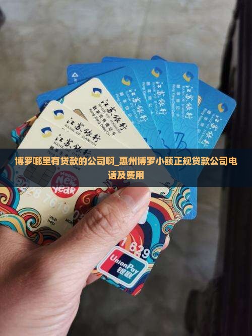 博罗哪里有贷款的公司啊_惠州博罗小额正规贷款公司电话及费用