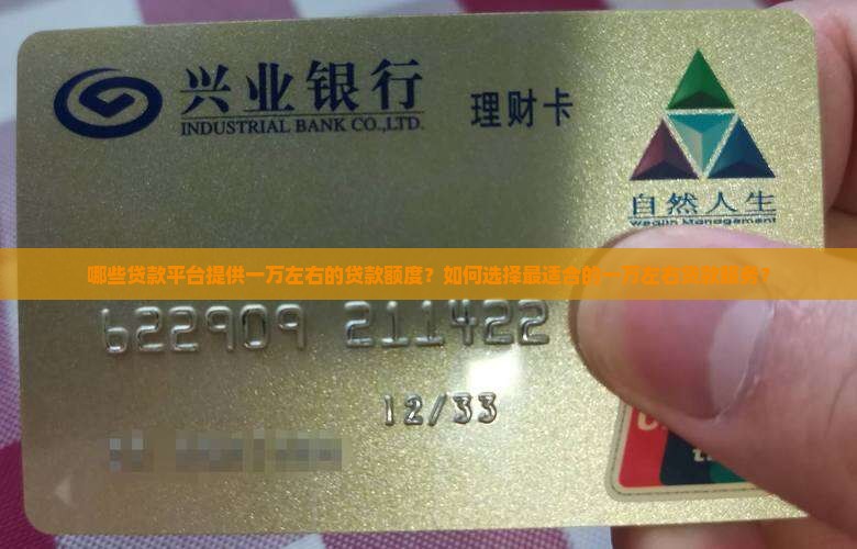 哪些贷款平台提供一万左右的贷款额度？如何选择最适合的一万左右贷款服务？