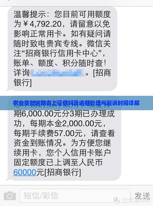 农业贷款逾期会上征信吗及逾期处理与起诉时间详解