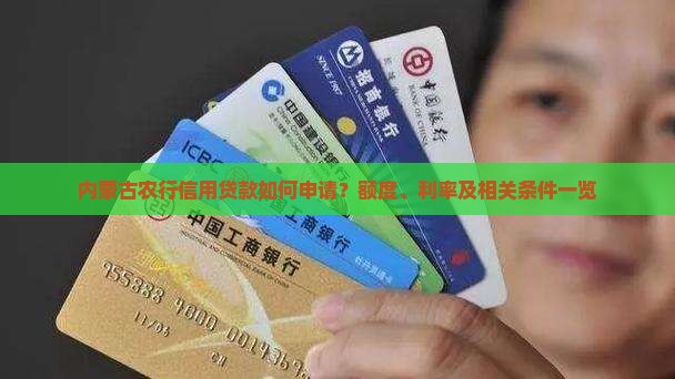 内蒙古农行信用贷款如何申请？额度、利率及相关条件一览