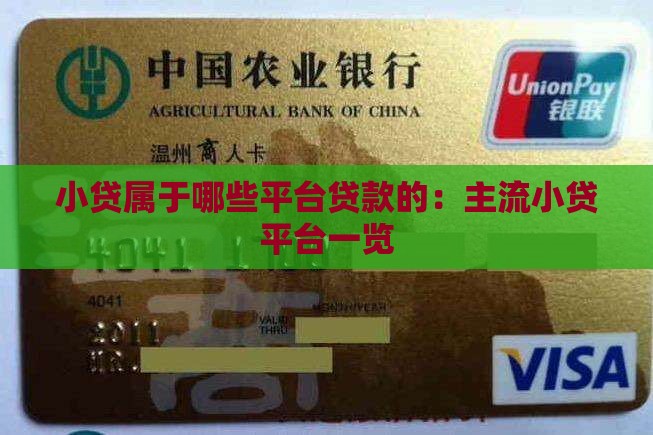 小贷属于哪些平台贷款的：主流小贷平台一览