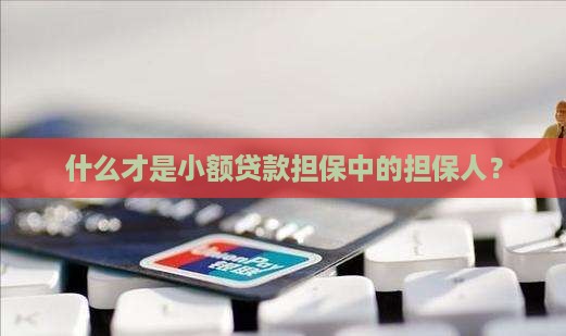 什么才是小额贷款担保中的担保人？