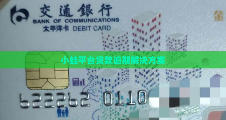 小蛙平台贷款逾期解决方案