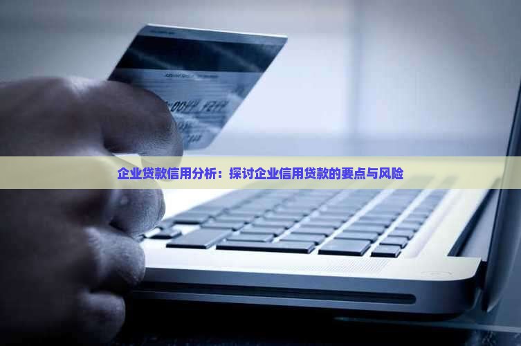 企业贷款信用分析：探讨企业信用贷款的要点与风险