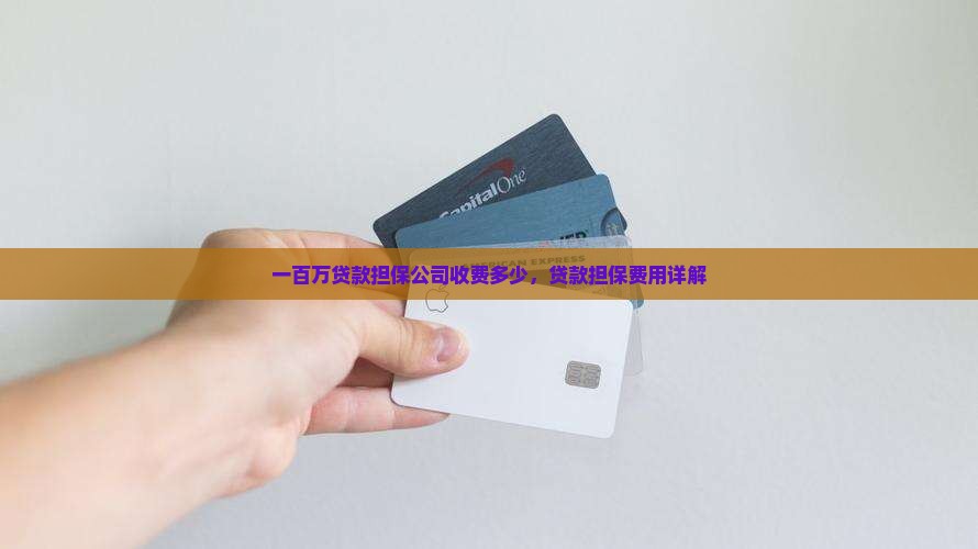 一百万贷款担保公司收费多少，贷款担保费用详解