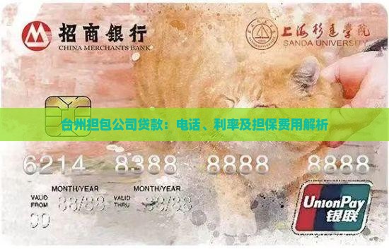 台州担包公司贷款：电话、利率及担保费用解析
