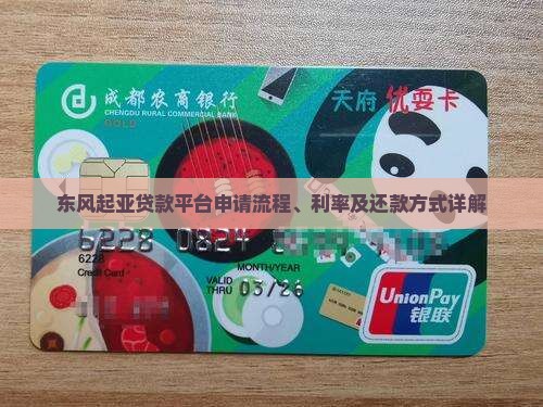 东风起亚贷款平台申请流程、利率及还款方式详解