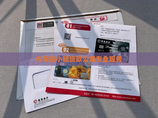 内蒙古小额贷款公司专业服务