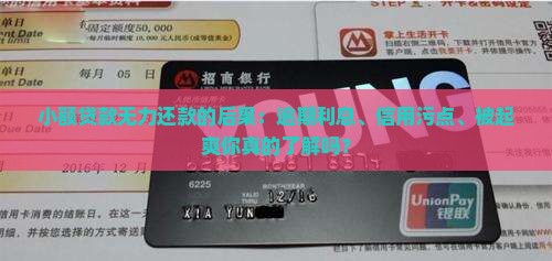 小额贷款无力还款的后果：逾期利息、信用污点、被起爽你真的了解吗？