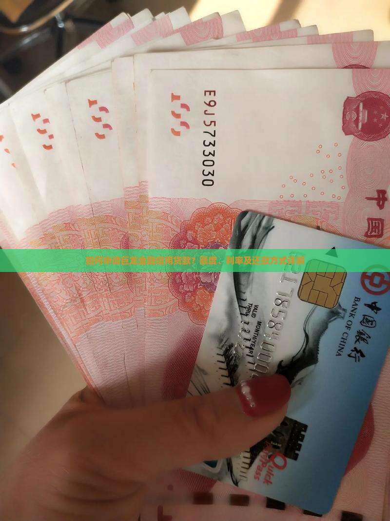 如何申请巨龙金融信用贷款？额度、利率及还款方式详解