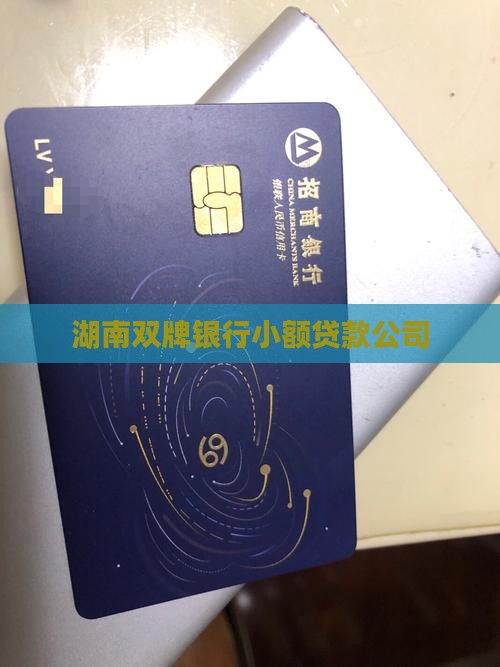 湖南双牌银行小额贷款公司