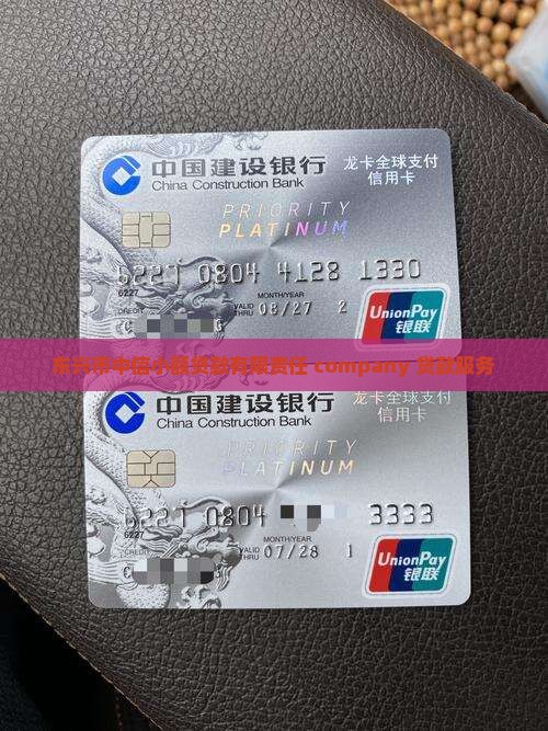东兴市中信小额贷款有限责任 company 贷款服务