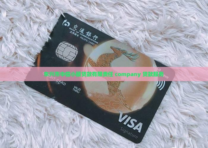 东兴市中信小额贷款有限责任 company 贷款服务