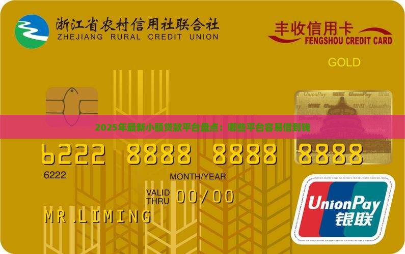 2025年最新小额贷款平台盘点：哪些平台容易借到钱