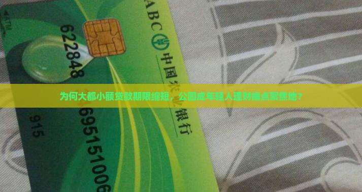 为何大都小额贷款期限缩短，公园成年轻人理财痛点聚焦地？