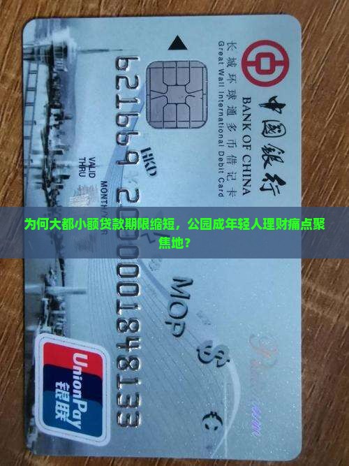 为何大都小额贷款期限缩短，公园成年轻人理财痛点聚焦地？