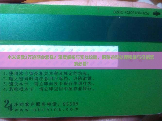 小米贷款2万逾期会怎样