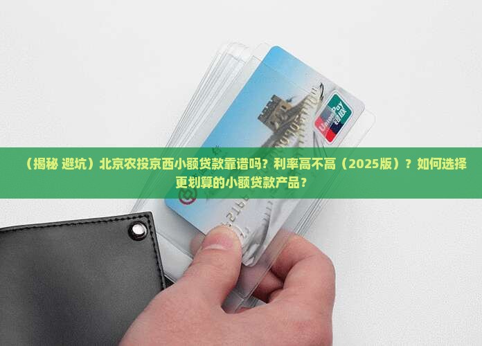北京农投京西小额贷款6