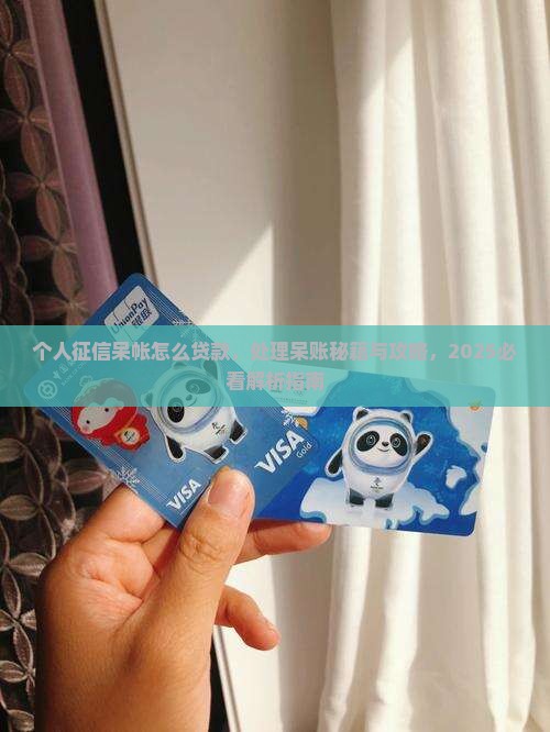 个人征信呆帐怎么贷款