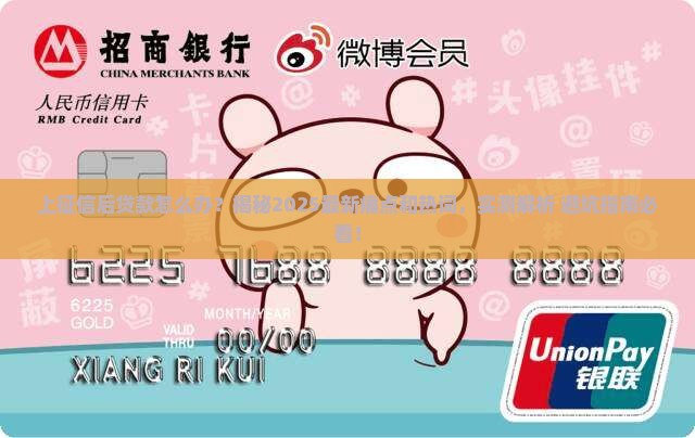 上征信后贷款怎么办