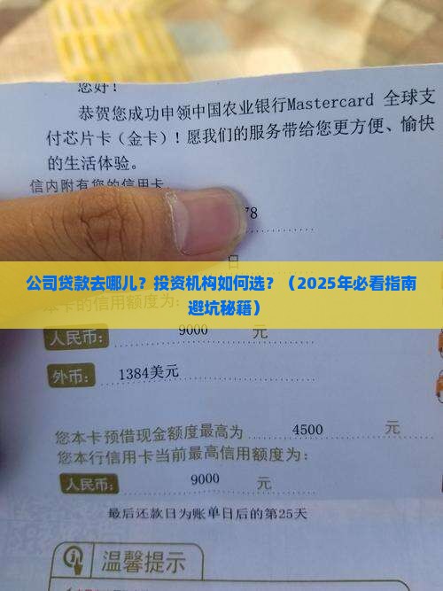 公司贷款投资机构