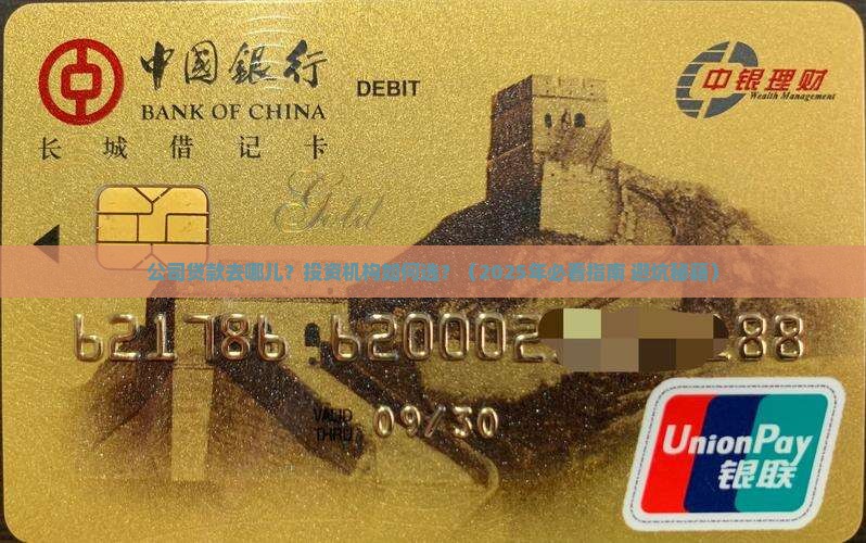 公司贷款投资机构