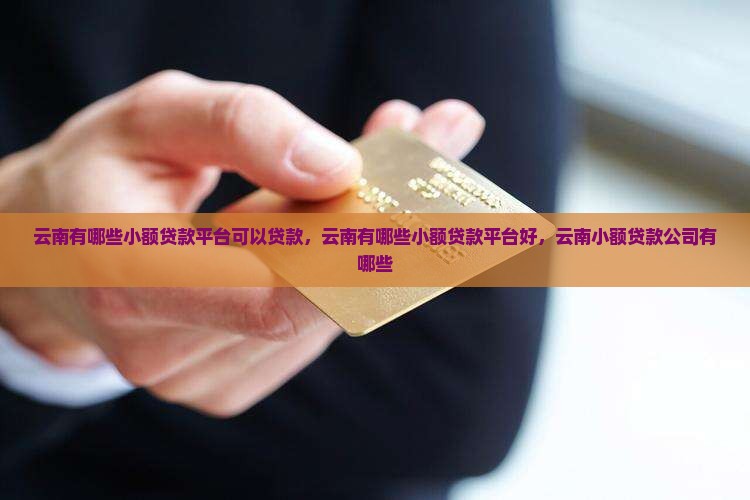 云南有哪些小额贷款平台
