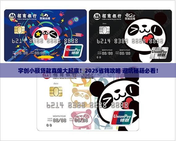 宇创小额贷款